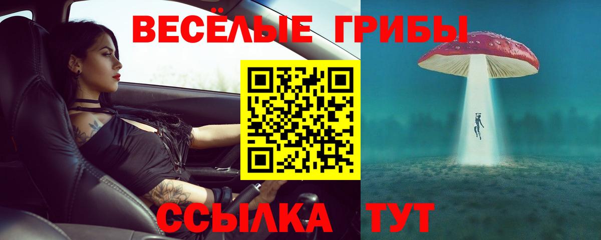 Нижнекамск  Галлюциногенные грибы ЛСД  Псилоцибиновые грибы мухоморы  Вход с VPN 